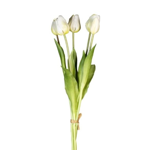 BUSH TULIPANO X5 REAL TOUCH WHITE